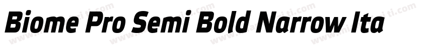Biome Pro Semi Bold Narrow Itali字体转换